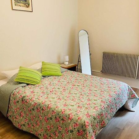 קולמר Appartement Cosy מראה חיצוני תמונה