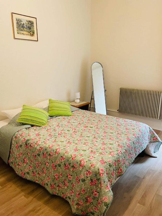 קולמר Appartement Cosy מראה חיצוני תמונה